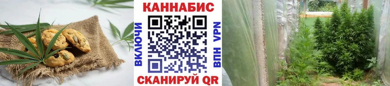 Купить закладки  Каменка  Cannafood конопля 