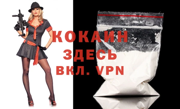 амф Вяземский