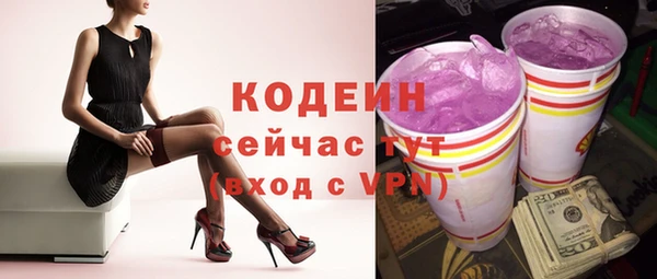 амф Вяземский