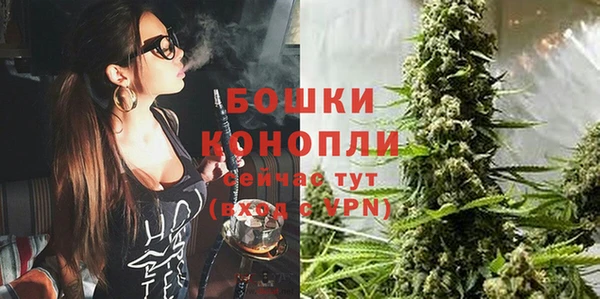 амф Вяземский