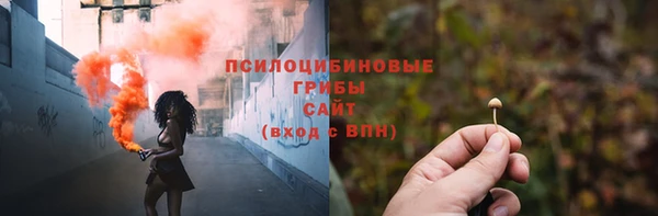 амф Вяземский