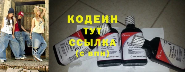 амф Вяземский